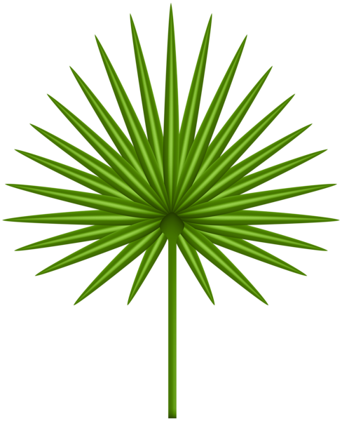 This png image - Exotic Leaf Transparent PNG Clip Art Image, is available for free download