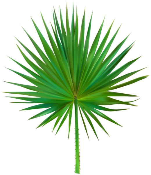 This png image - Exotic Palm Leaf PNG Clip Art Image, is available for free download