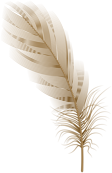 This png image - Feather Brown PNG Clip Art, is available for free download