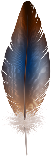 This png image - Feather PNG Clip Art Image, is available for free download
