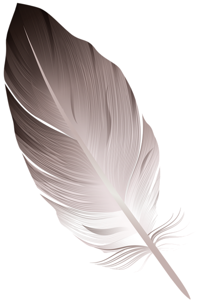 This png image - Feather PNG Clipar, is available for free download
