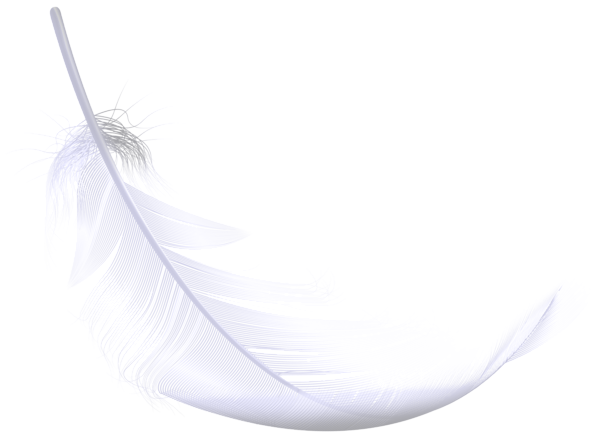 This png image - Feather PNG Transparent Clipart, is available for free download