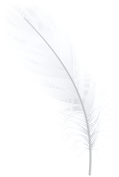 This png image - Feather White PNG Clip Art, is available for free download