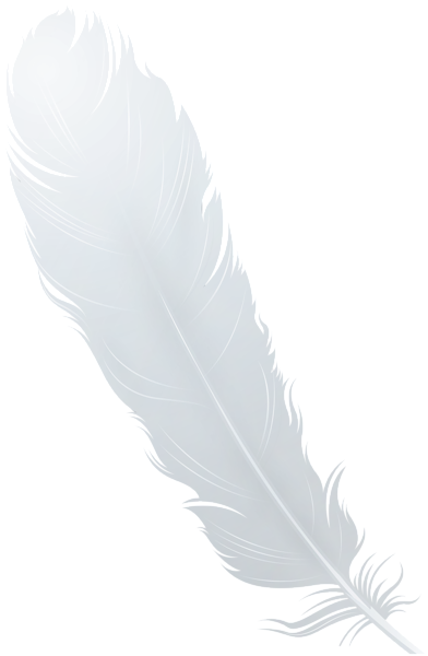 This png image - Feather White PNG Clipart, is available for free download