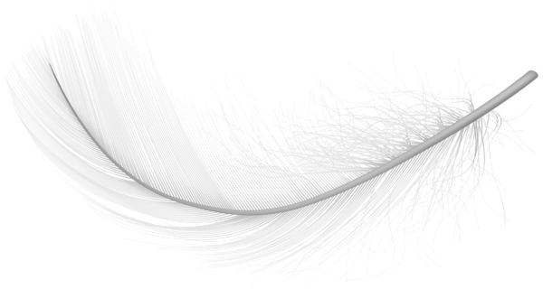 This png image - Feather White PNG Transparent Clipart, is available for free download