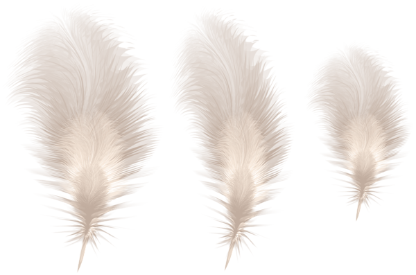 This png image - Feathers PNG Clipart, is available for free download