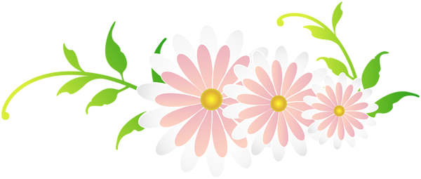This png image - Floral Decoration PNG Clipart, is available for free download