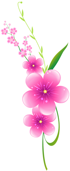 This png image - Floral Pink Decoration PNG Clip Art, is available for free download