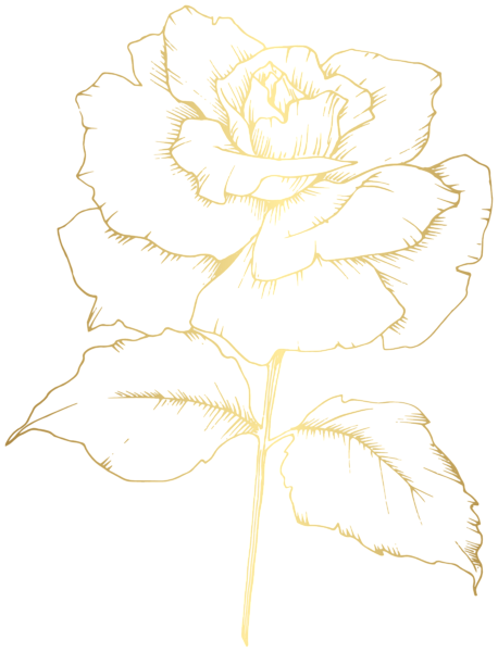 This png image - Gold Rose Contour Clipart Image, is available for free download