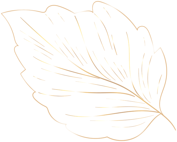 This png image - Gold Sketch Leaf PNG Clipart, is available for free download