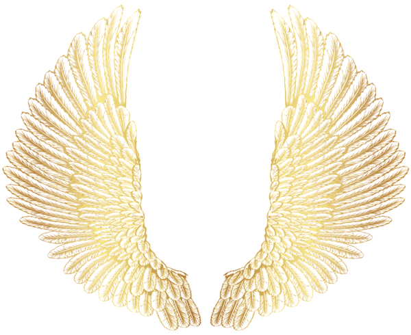 This png image - Gold Wings PNG Clip Art Image, is available for free download