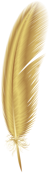 This png image - Golden Feather PNG Clip Art, is available for free download