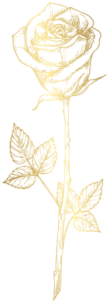 This png image - Golden Rose Clipart Image, is available for free download