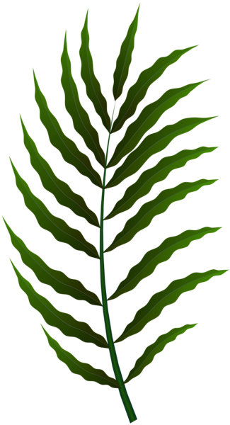 This png image - Green Leaf PNG Clip Art Image, is available for free download