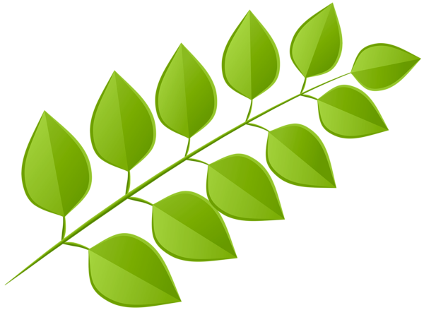 This png image - Green Leaves Decoration PNG Clipart, is available for free download