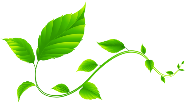 This png image - Green Leaves Decoration PNG Transparent Clipart, is available for free download