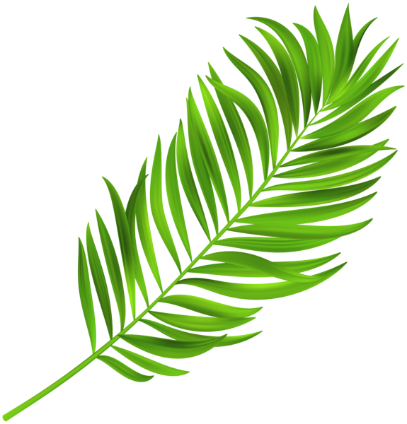 This png image - Green Palm Branch PNG Clipart, is available for free download