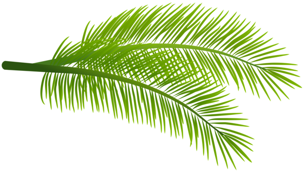 This png image - Green Palm Branches PNG Clipart, is available for free download