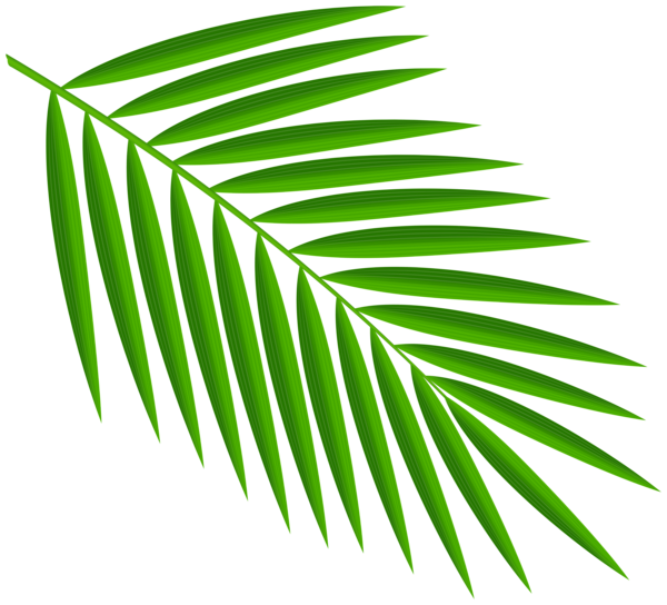This png image - Green Palm Leaves PNG Clipart, is available for free download