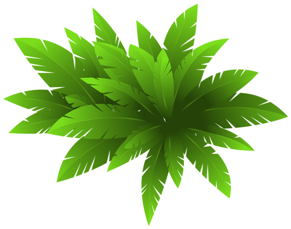 This png image - Green Plant Decoration PNG Clipart Image, is available for free download