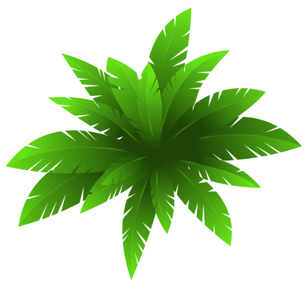 This png image - Green Plant Decoration PNG Image, is available for free download