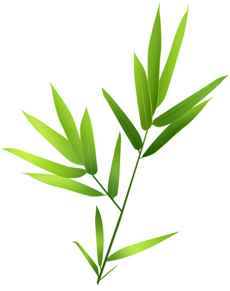 This png image - Green Plant PNG Clipart, is available for free download