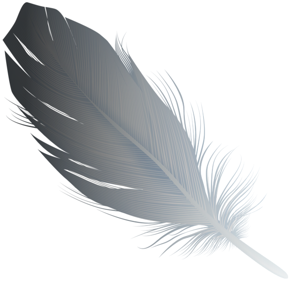 This png image - Grey Feather PNG Transparent Clipart, is available for free download