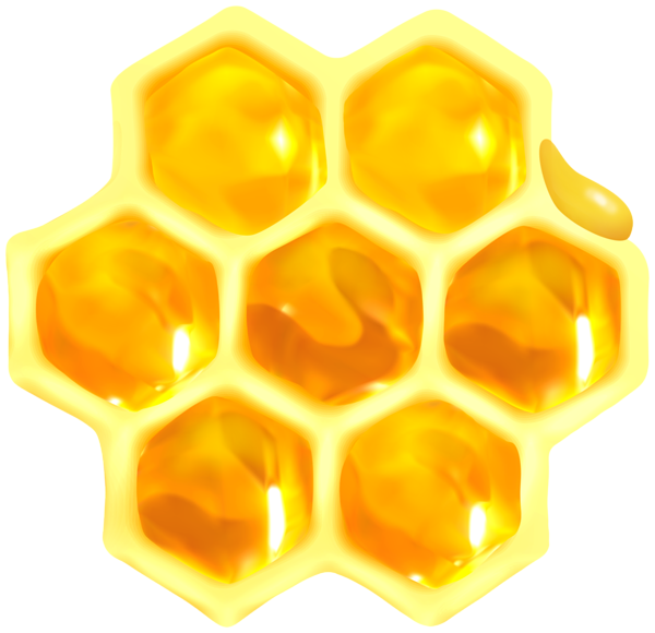 Honeycomb PNG Clipart | Gallery Yopriceville - High-Quality Free Images