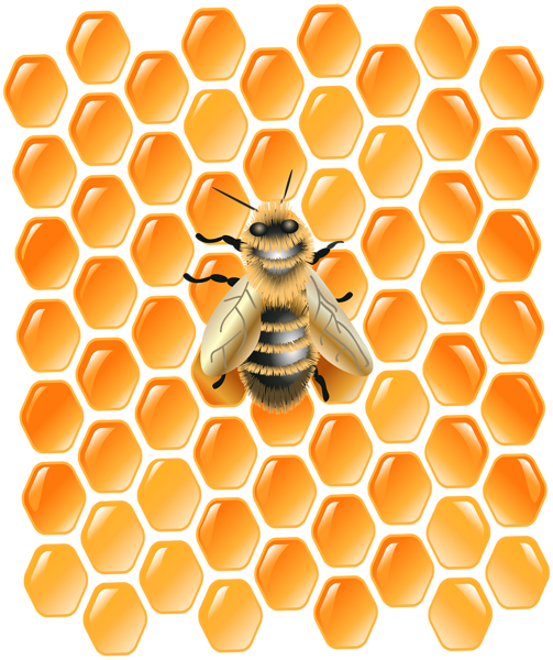 This png image - Honeycomb with Bee PNG Clip Art Image, is available for free download