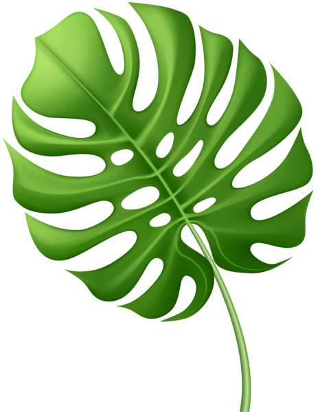 This png image - Large Tropical Leaf PNG Clip Art Image, is available for free download