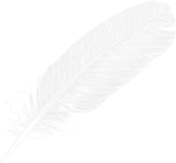 This png image - Large White Transparent Feather PNG Clipart, is available for free download