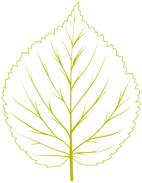 This png image - Leaf Decor PNG Clipart, is available for free download