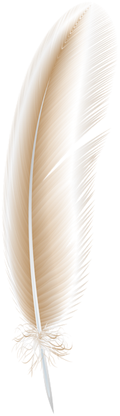 This png image - Light Brown Feather PNG Clip Art, is available for free download