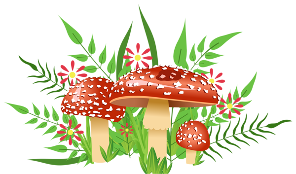 This png image - Mushrooms Decorative Element PNG Image, is available for free download