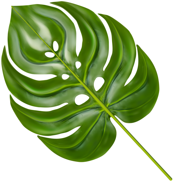 Palm Branch Decorative Transparent Image | Gallery ...