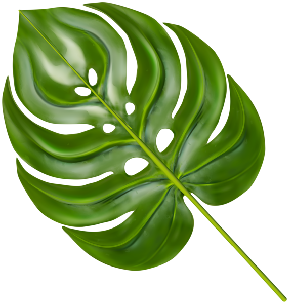 This png image - Palm Branch Decorative Transparent Image, is available for free download