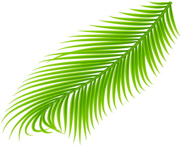 This png image - Palm Branch Transparent Clip Art, is available for free download