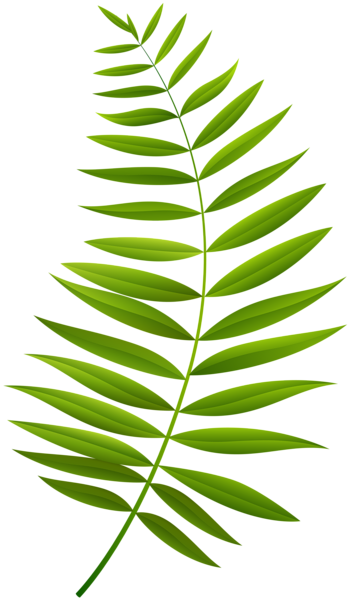 This png image - Palm Branch Transparent Clip Art Image, is available for free download