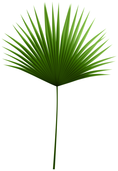 This png image - Palm Leaf Branch PNG Transparent Clipart, is available for free download