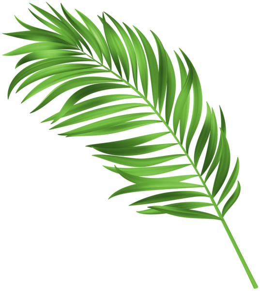 This png image - Palm Leaf Green Clipart, is available for free download