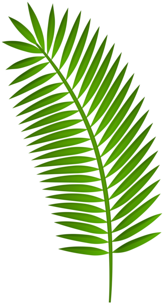 This png image - Palm Leaf PNG Clipart, is available for free download