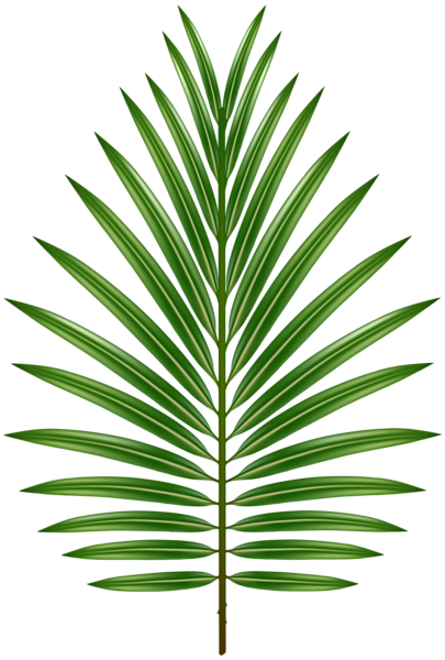 This png image - Palm Leaf Transparent Image, is available for free download