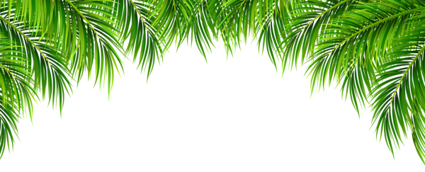 This png image - Palm Leaves Decor PNG Clip Art Image, is available for free download