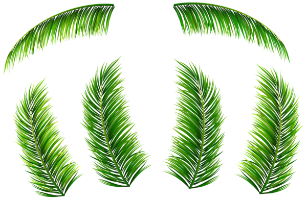 This png image - Palm Leaves PNG Clip Art Image, is available for free download