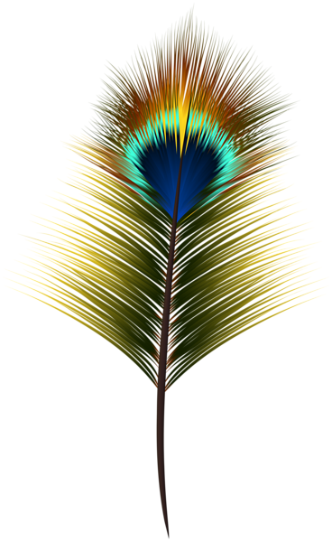 This png image - Peacock Feather PNG Clip Art, is available for free download