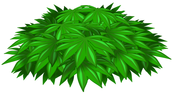 This png image - Plant DecoTransparent PNG Clip Art Image, is available for free download