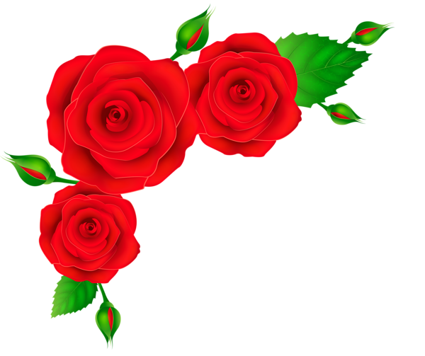 This png image - Red Roses Corner Transparent PNG Clip Art Image, is available for free download