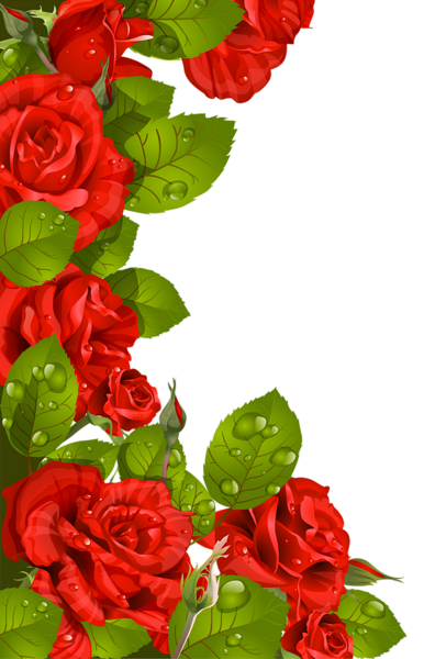 This png image - Red Roses Decoration for Frame PNG Clipart, is available for free download