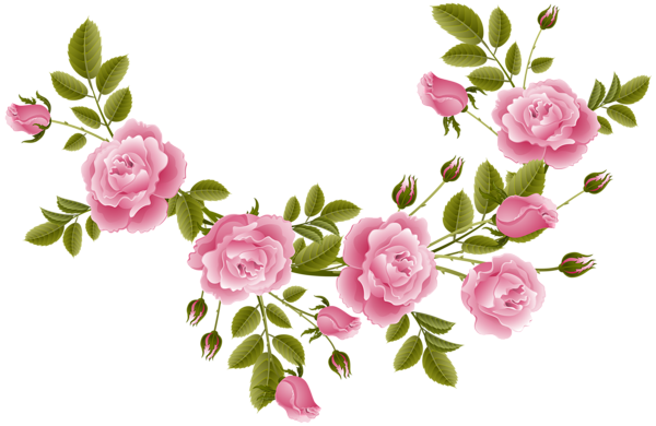 This png image - Rose Decoration Transparent Clip Art Image, is available for free download