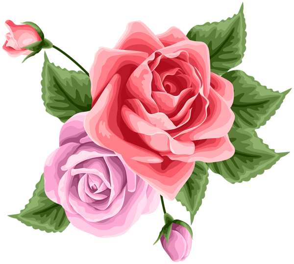 Rose Decoration Transparent PNG Clip Art | Gallery Yopriceville - High ...